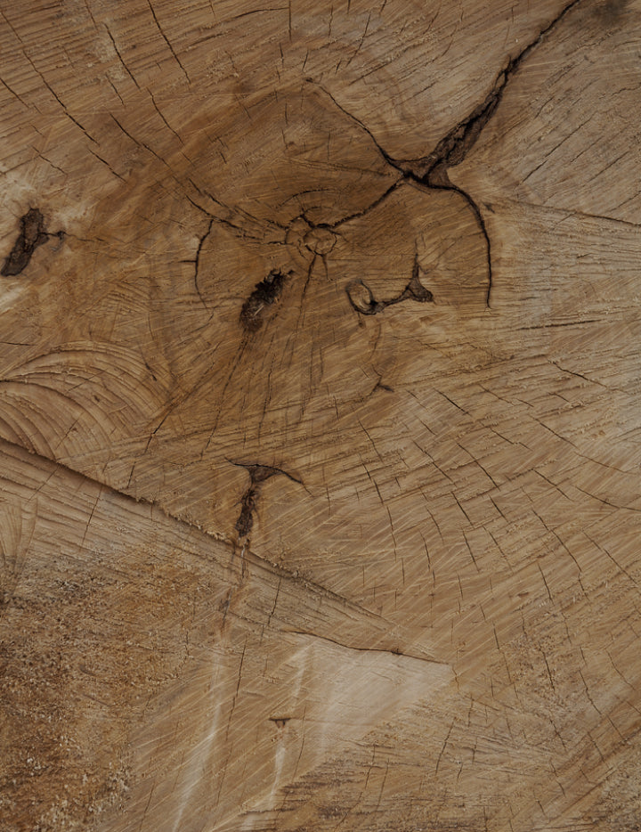 Woodsy & Floral